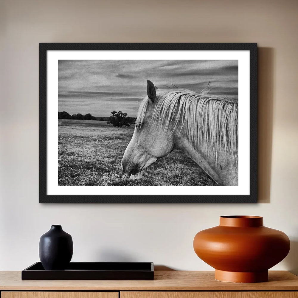 Black White Horse Wall Art