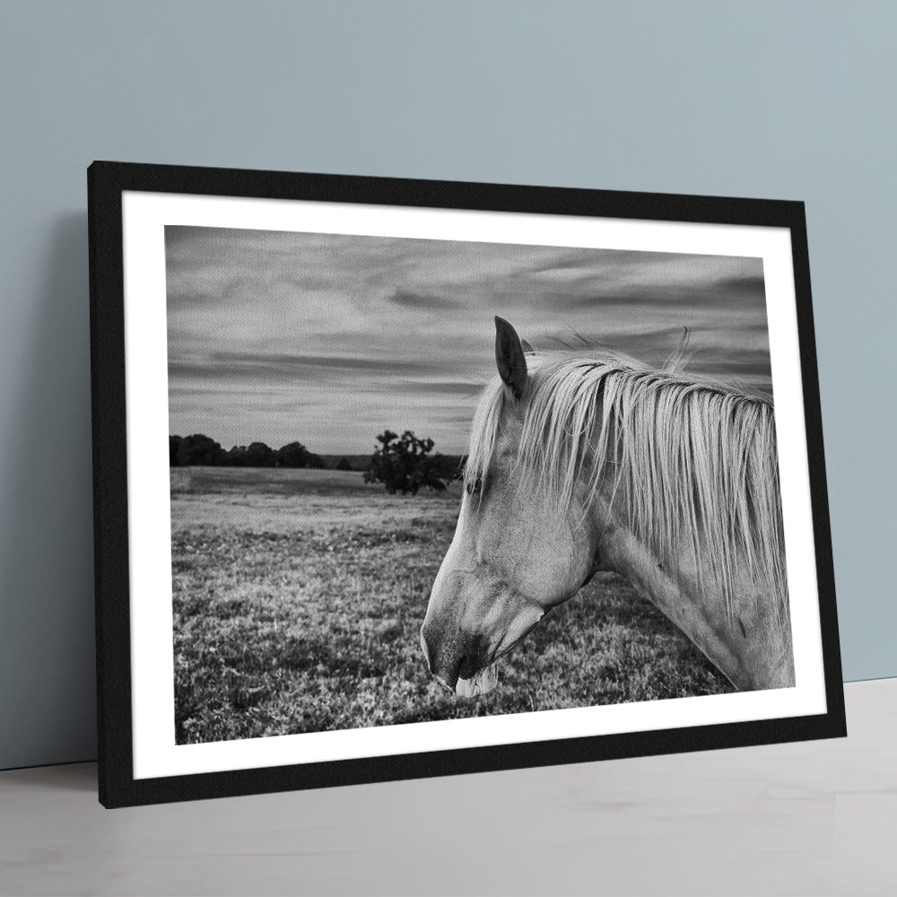 Black White Horse Wall Art