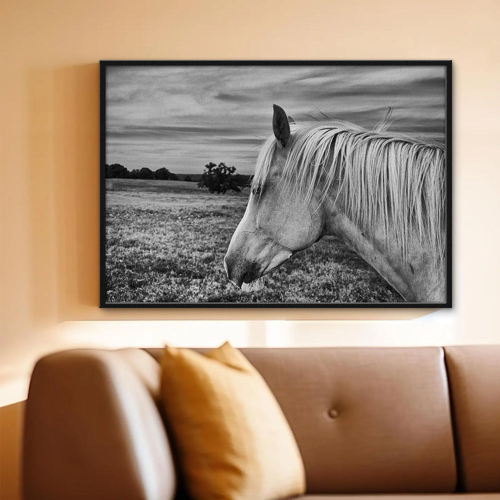Black White Horse Wall Art