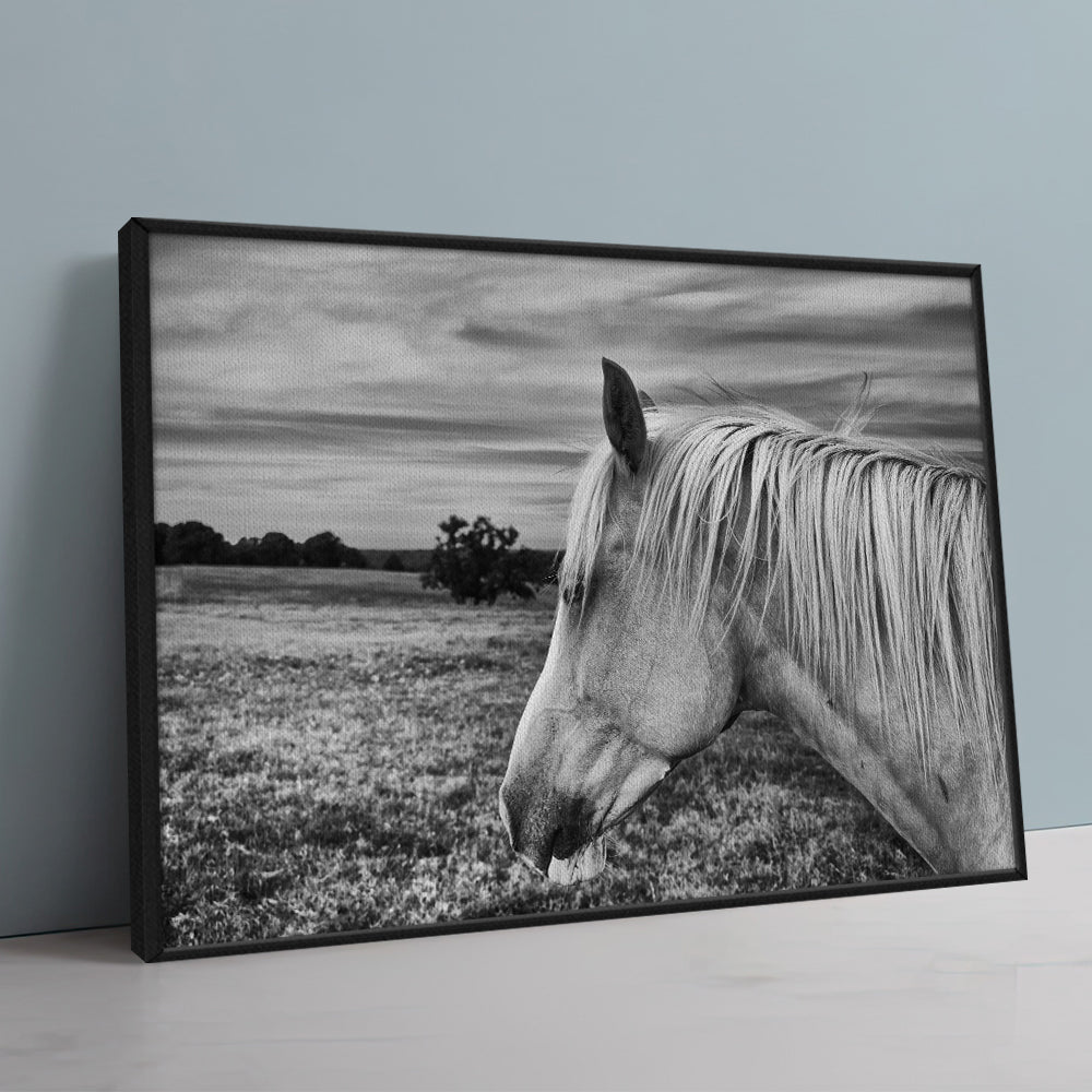 Black White Horse Wall Art