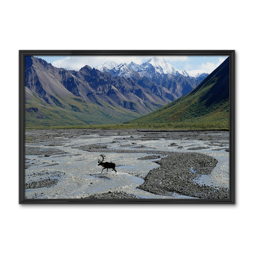 Denali National Park and Preserve Wall Art