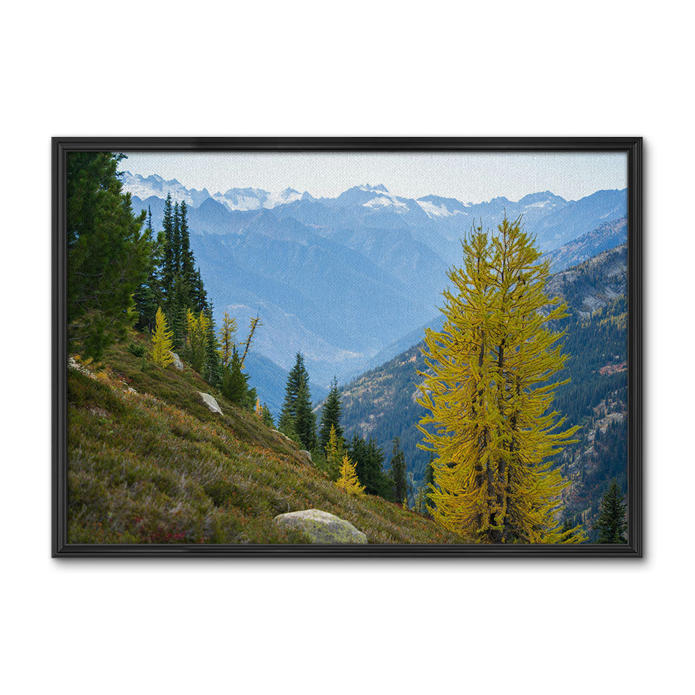 Olympic National Park Wall Art