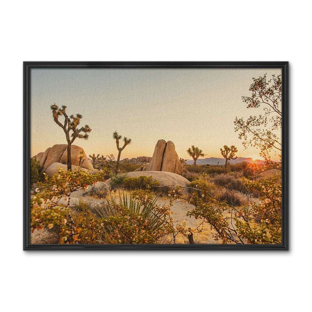 Joshua Tree National Park Wall Art