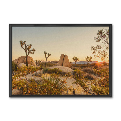 Joshua Tree National Park Wall Art