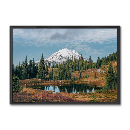 Mount Rainier National Park Wall Art