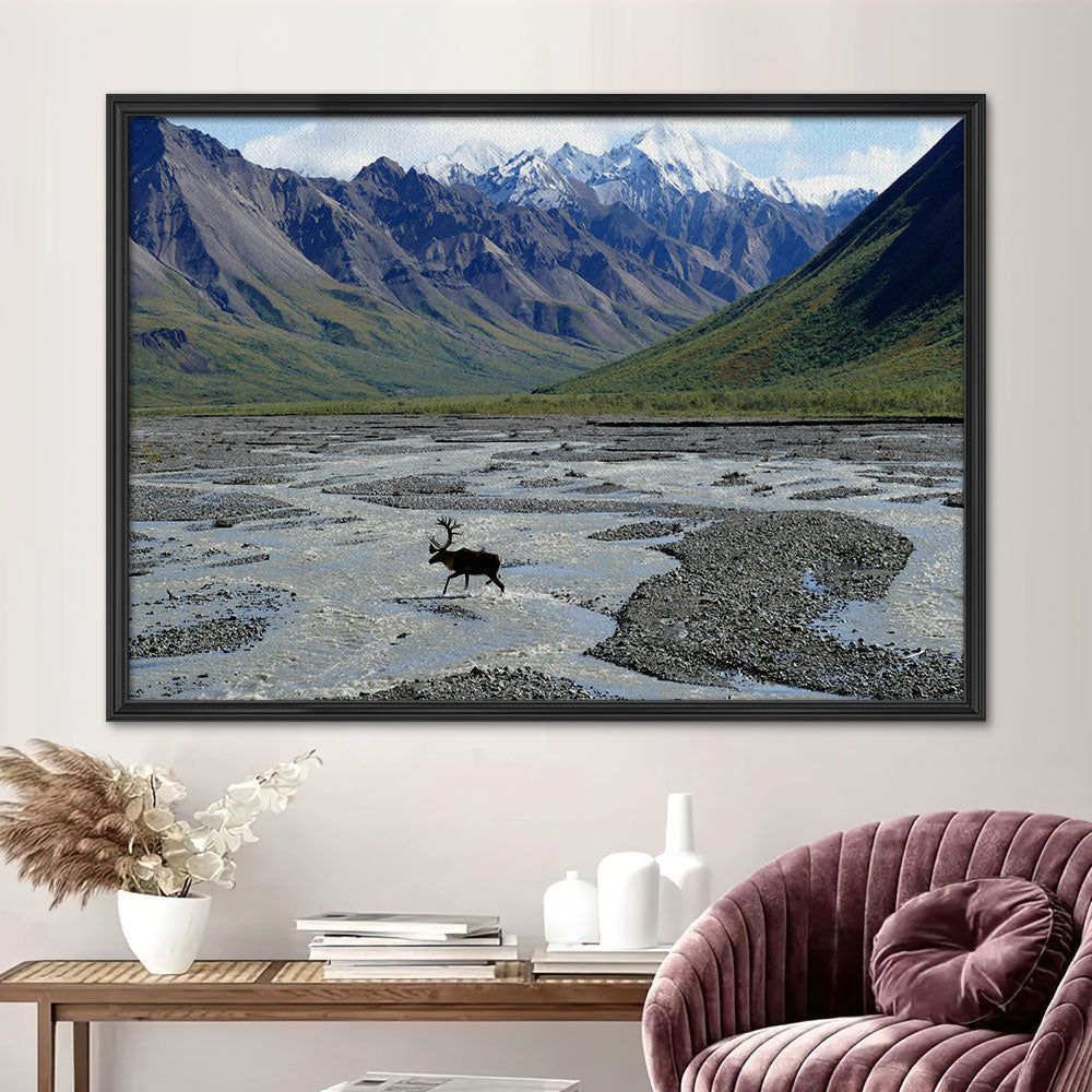 Denali National Park and Preserve Wall Art