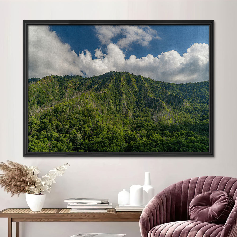 Great Smoky Mountains National Park Wall Art