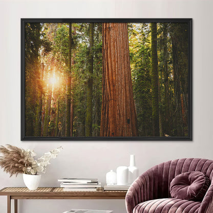 Sequoia National Park Wall Art