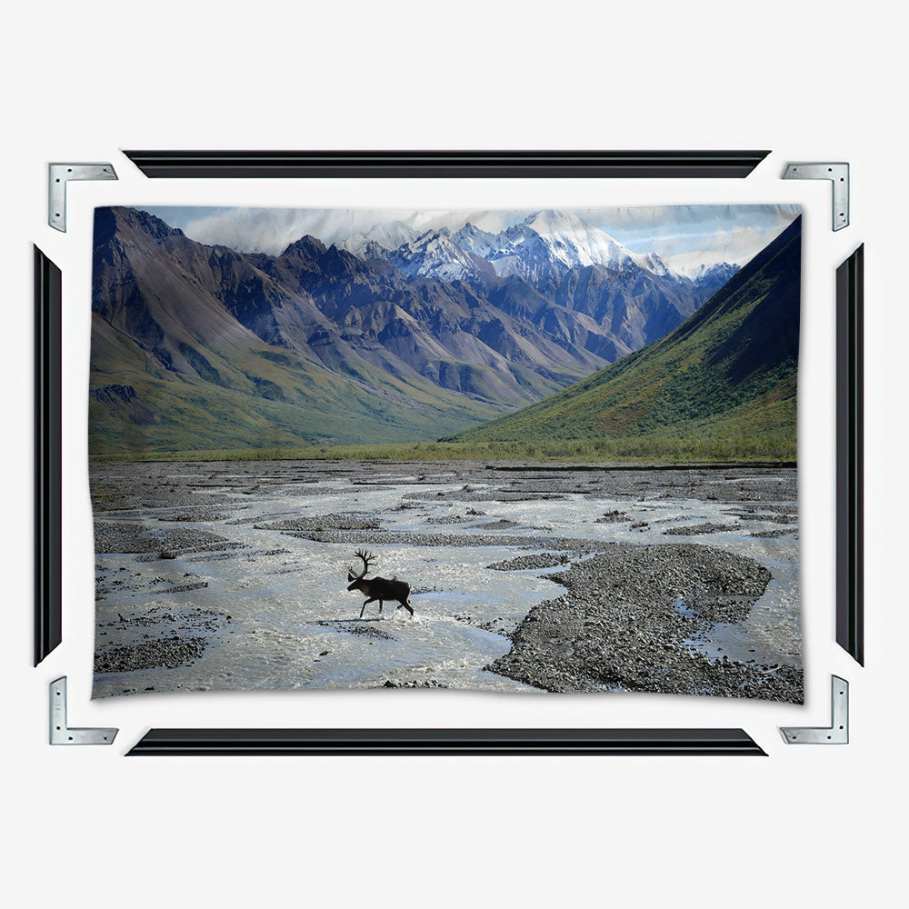 Denali National Park and Preserve Wall Art