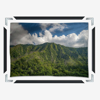 Great Smoky Mountains National Park Wall Art