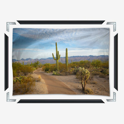 Saguaro National Park Wall Art