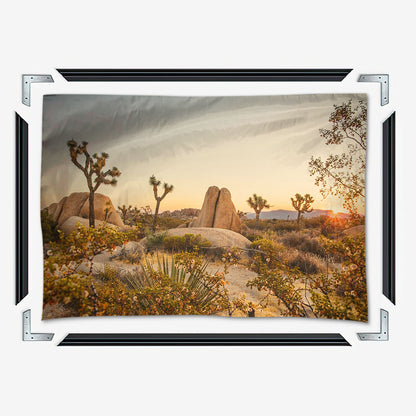 Joshua Tree National Park Wall Art