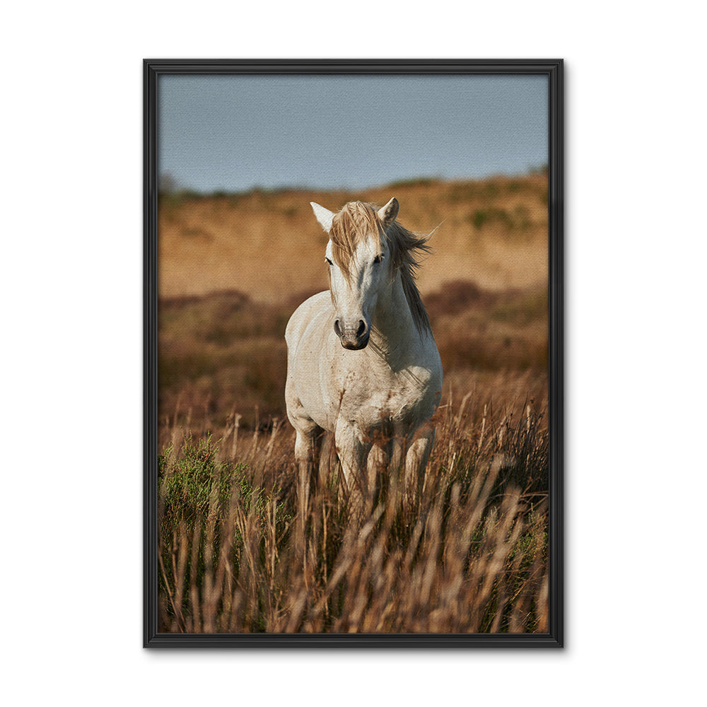 Safari White Horse Wall Art