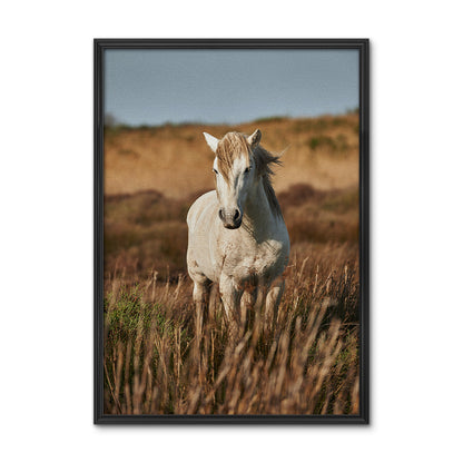 Safari White Horse Wall Art