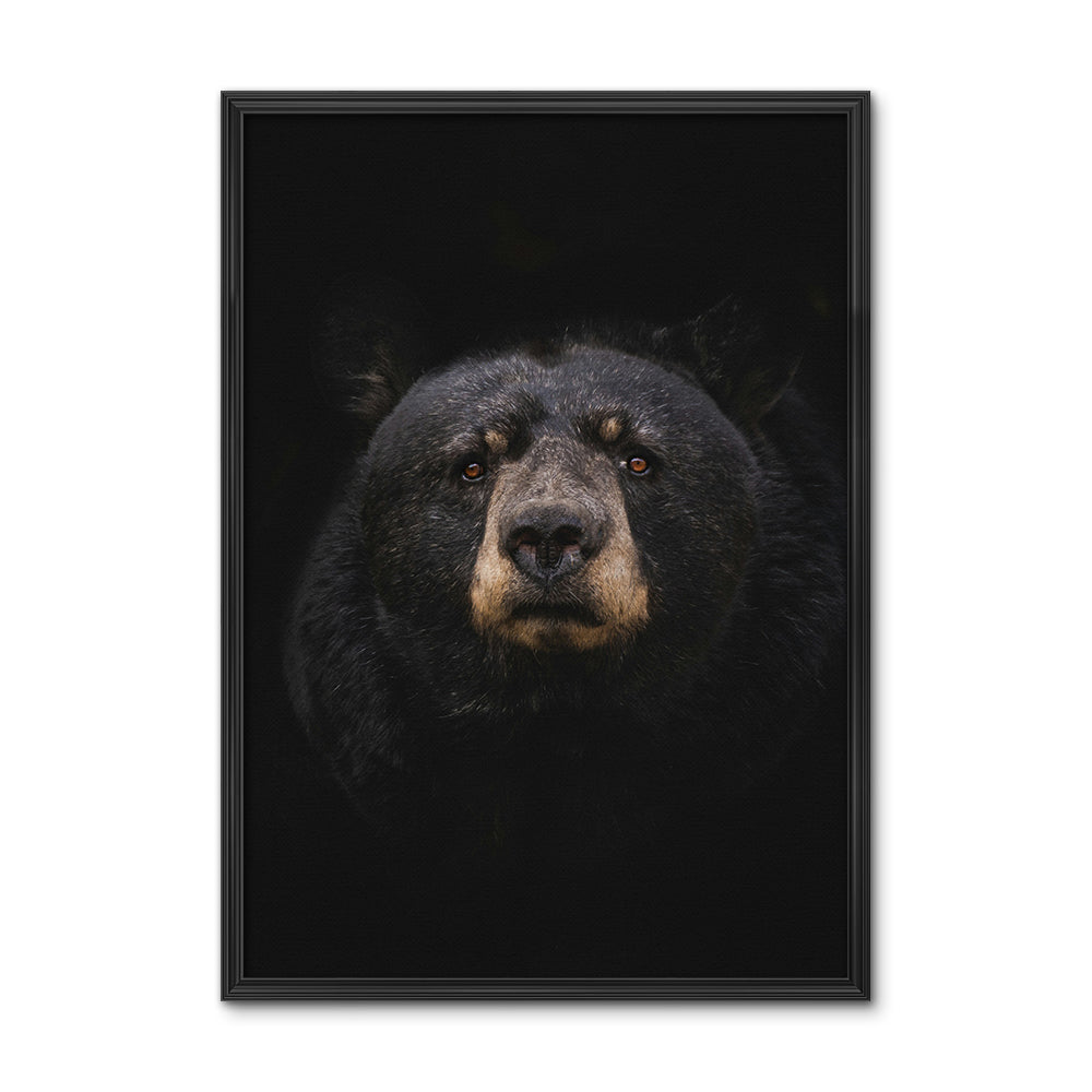 Black Bear Wall Art