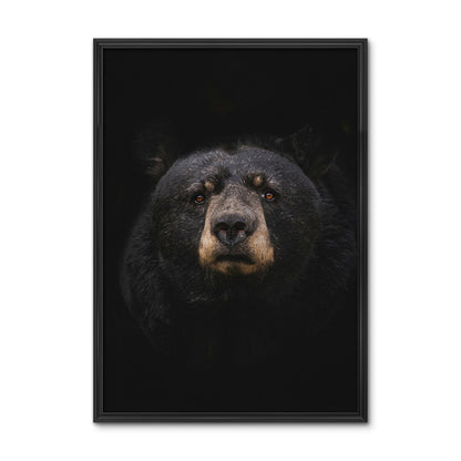 Black Bear Wall Art