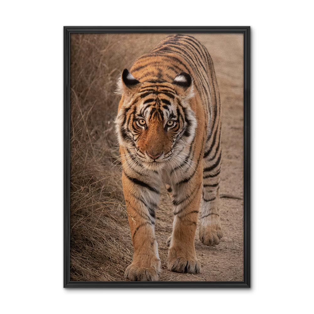 The Tiger Large Wall Art