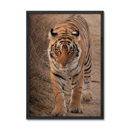 The Tiger Large Wall Art