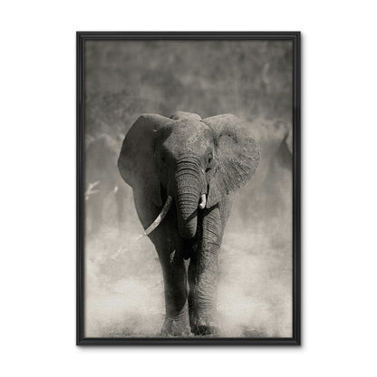 Gray Elephant Wall Art