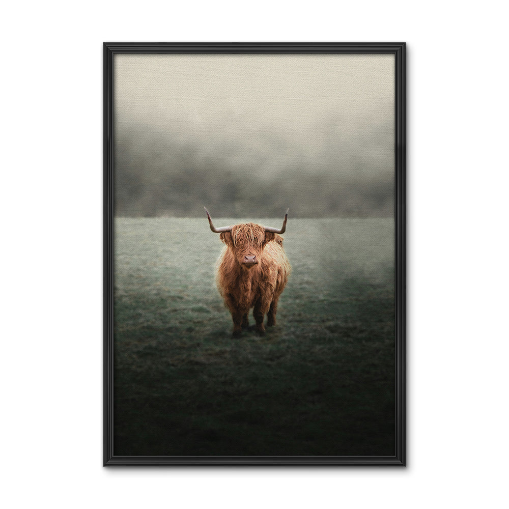 Mystery Highland Cow Wall Art