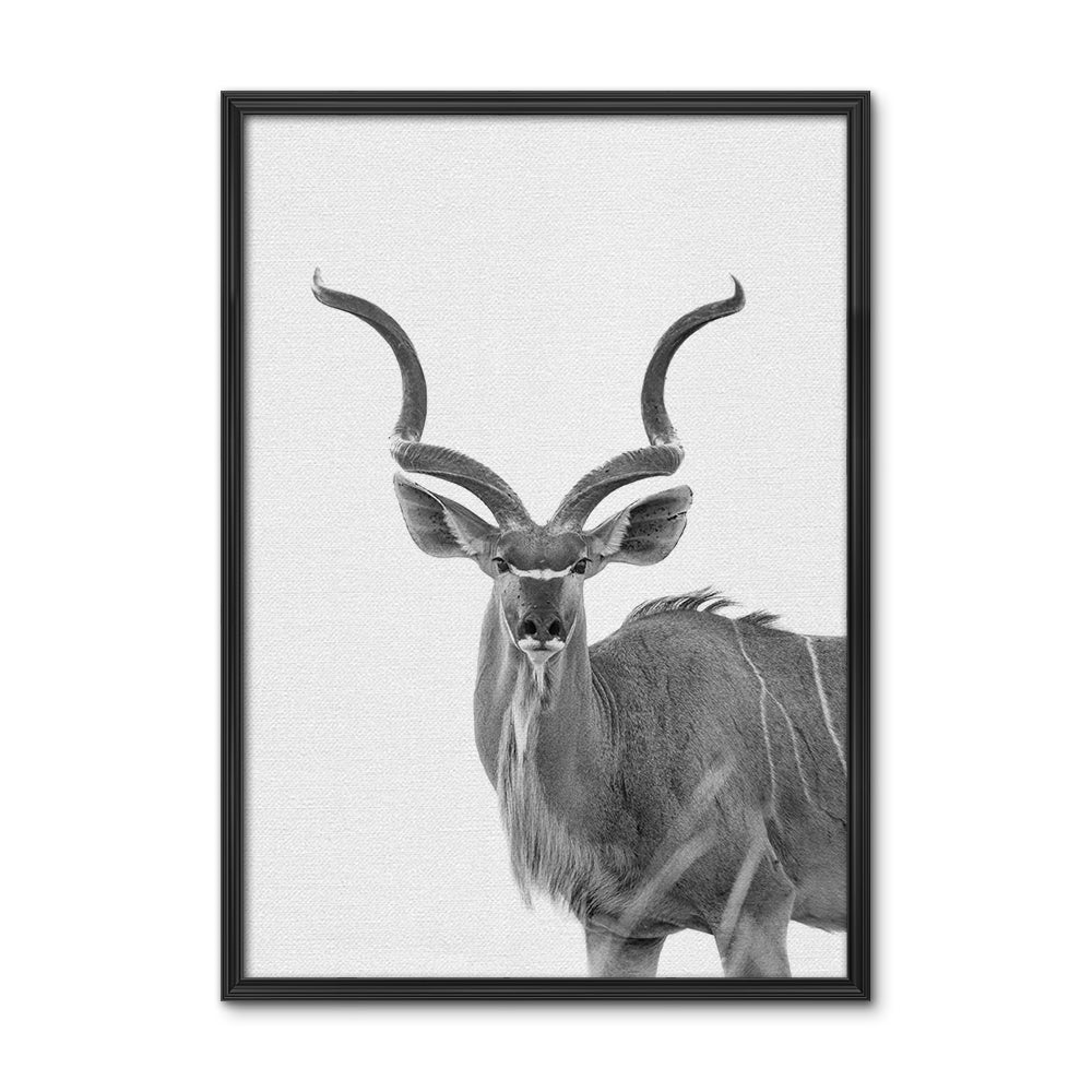 Greater Kudu Wall Art