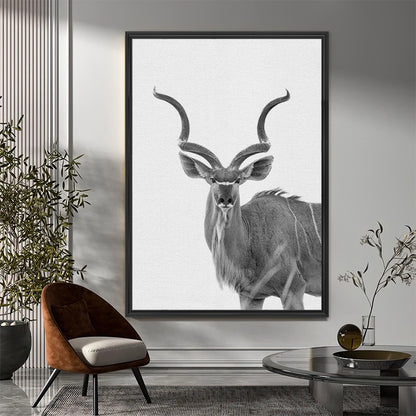 Greater Kudu Wall Art