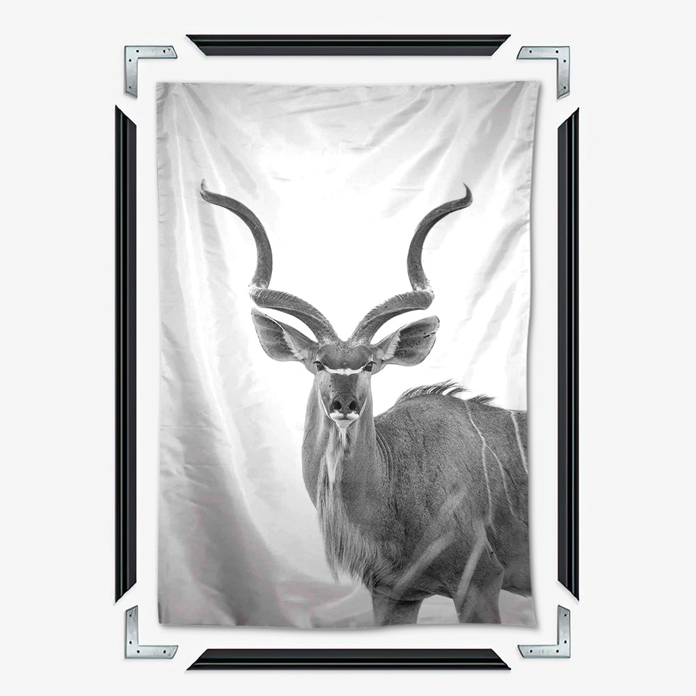 Greater Kudu Wall Art
