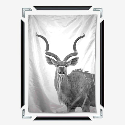 Greater Kudu Wall Art