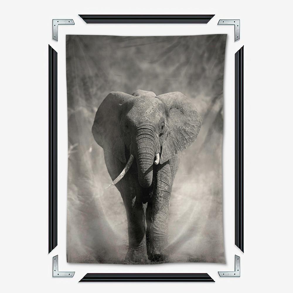 Gray Elephant Wall Art