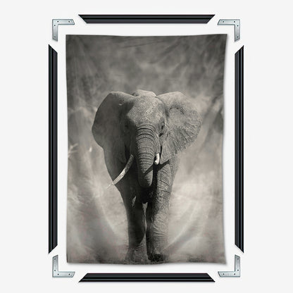 Gray Elephant Wall Art