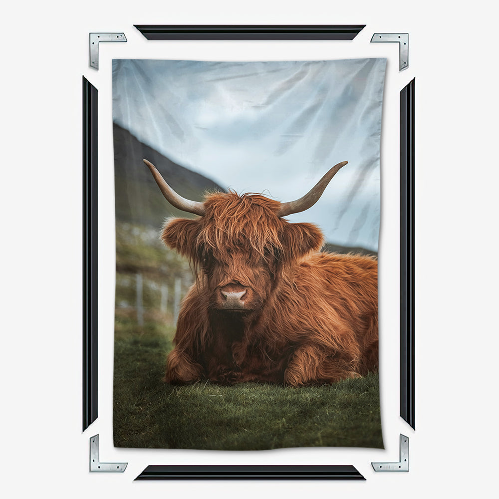 Chill Highland Cow Wall Art