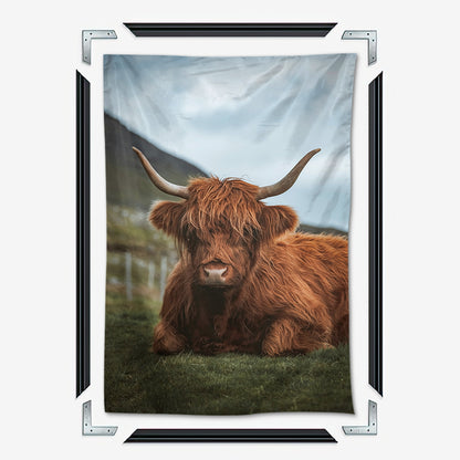 Chill Highland Cow Wall Art