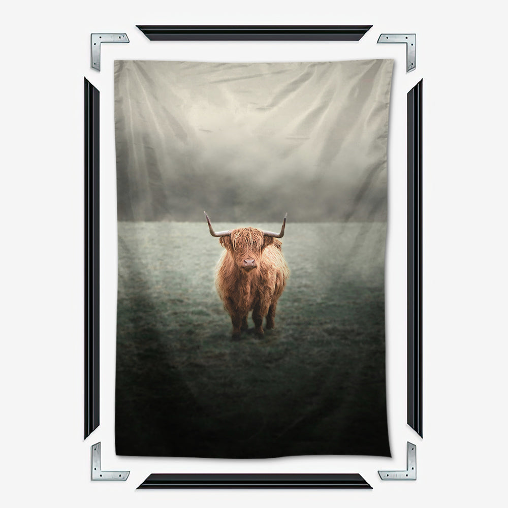 Mystery Highland Cow Wall Art