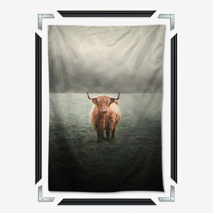 Mystery Highland Cow Wall Art