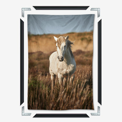 Safari White Horse Wall Art