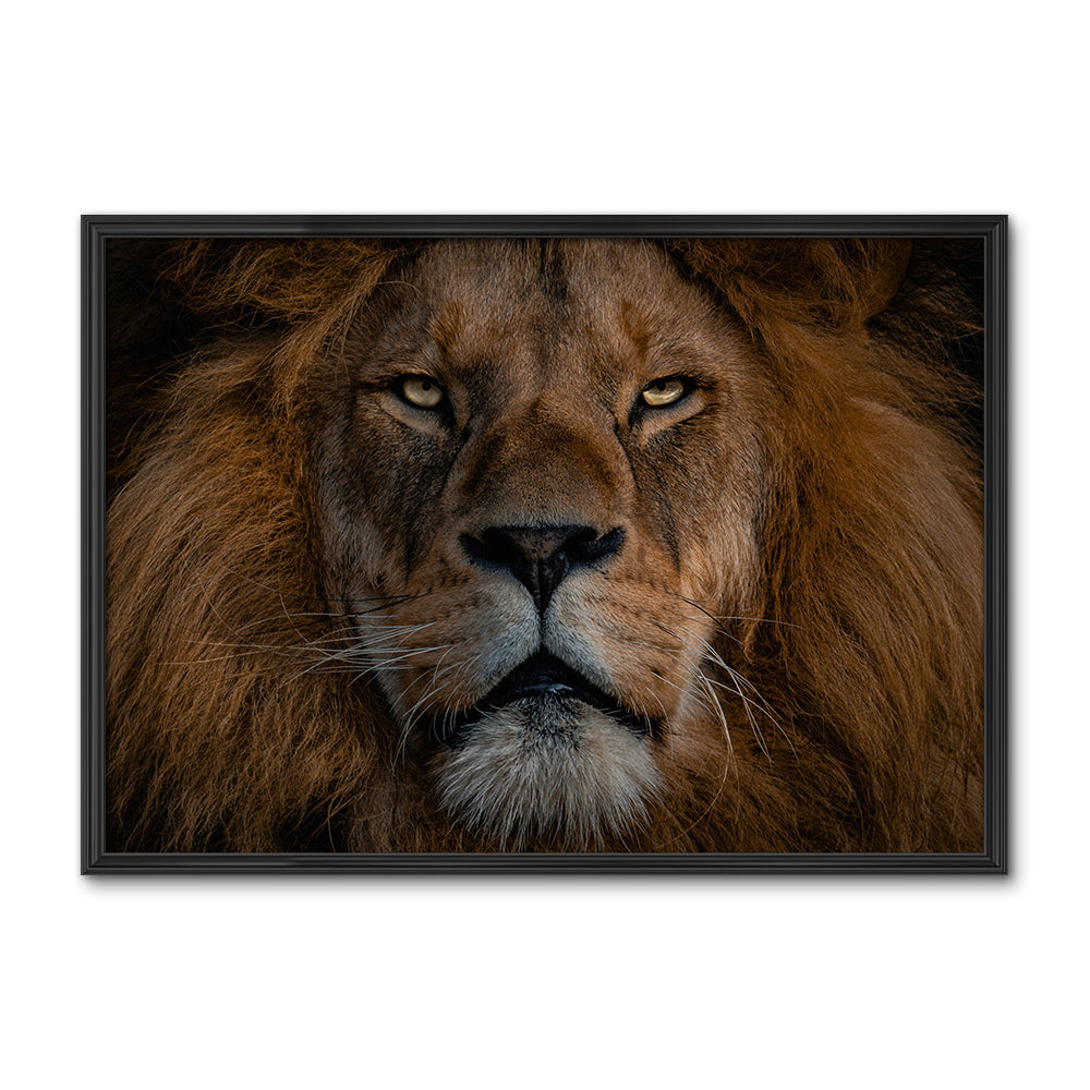 The Lion Large Wall Art