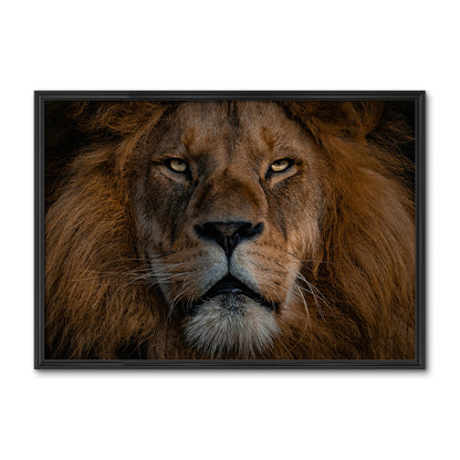 The Lion Large Wall Art