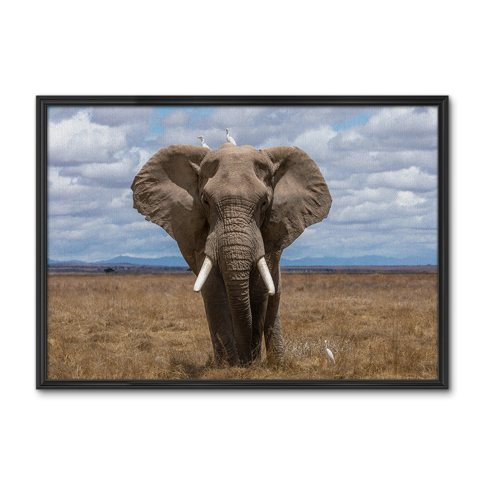 Safari Elephant Wall Art