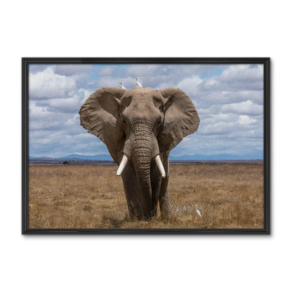 Safari Elephant Wall Art