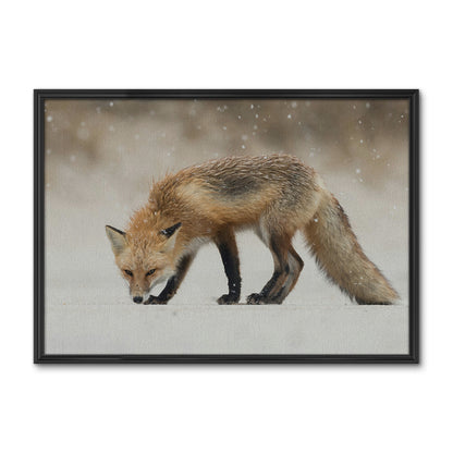 Winter Fox Large Wall Art