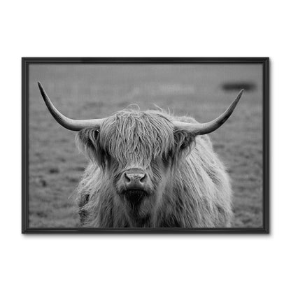 Black White Highland Cow Wall Art