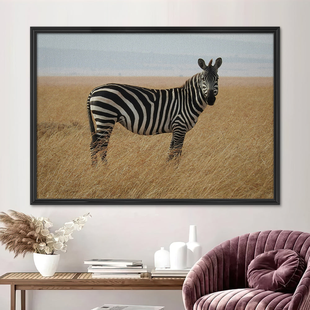 Safari Zebra Wall Art