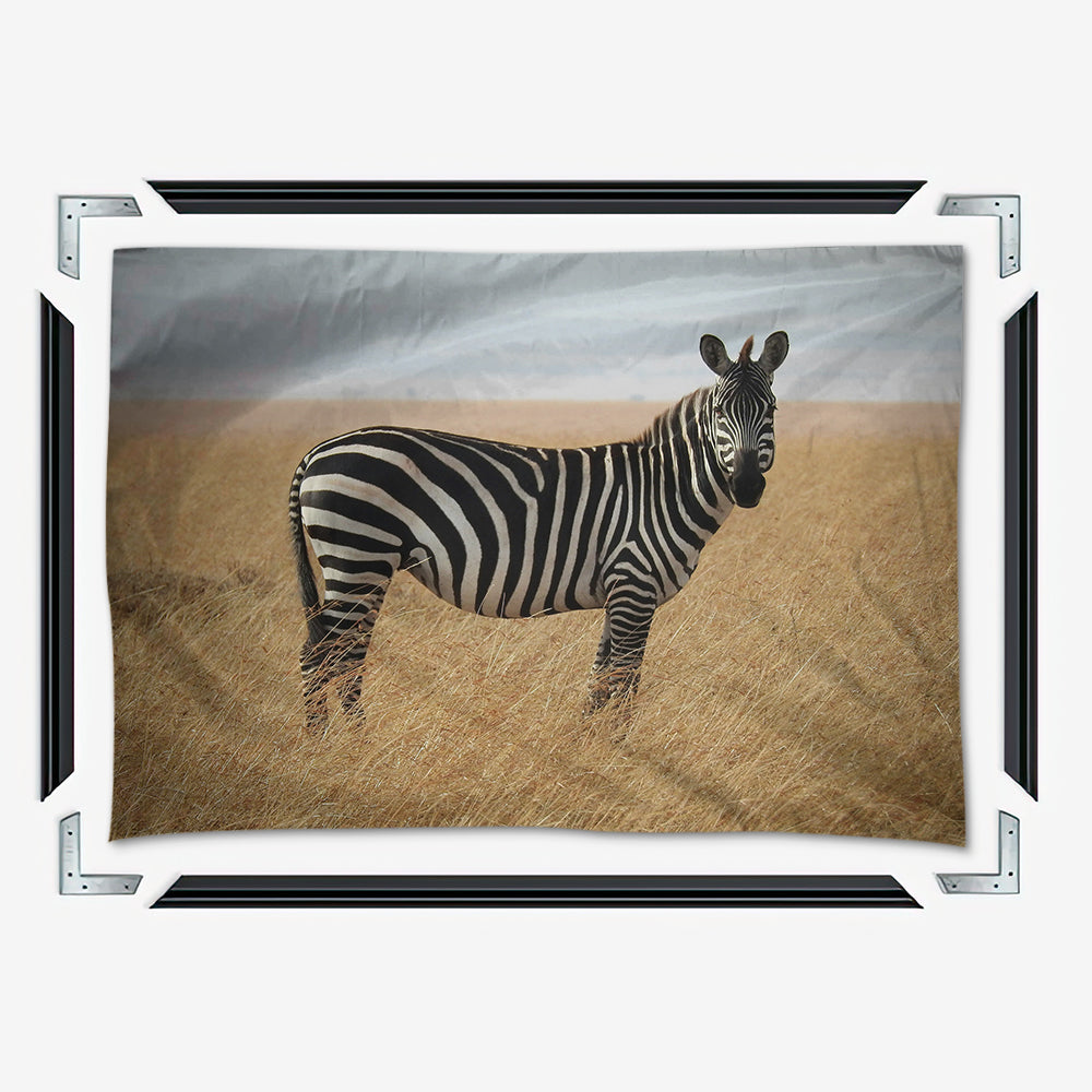 Safari Zebra Wall Art