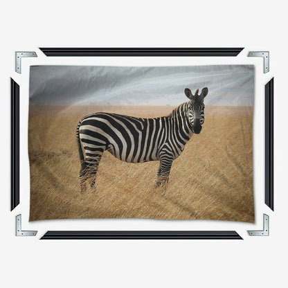 Safari Zebra Wall Art