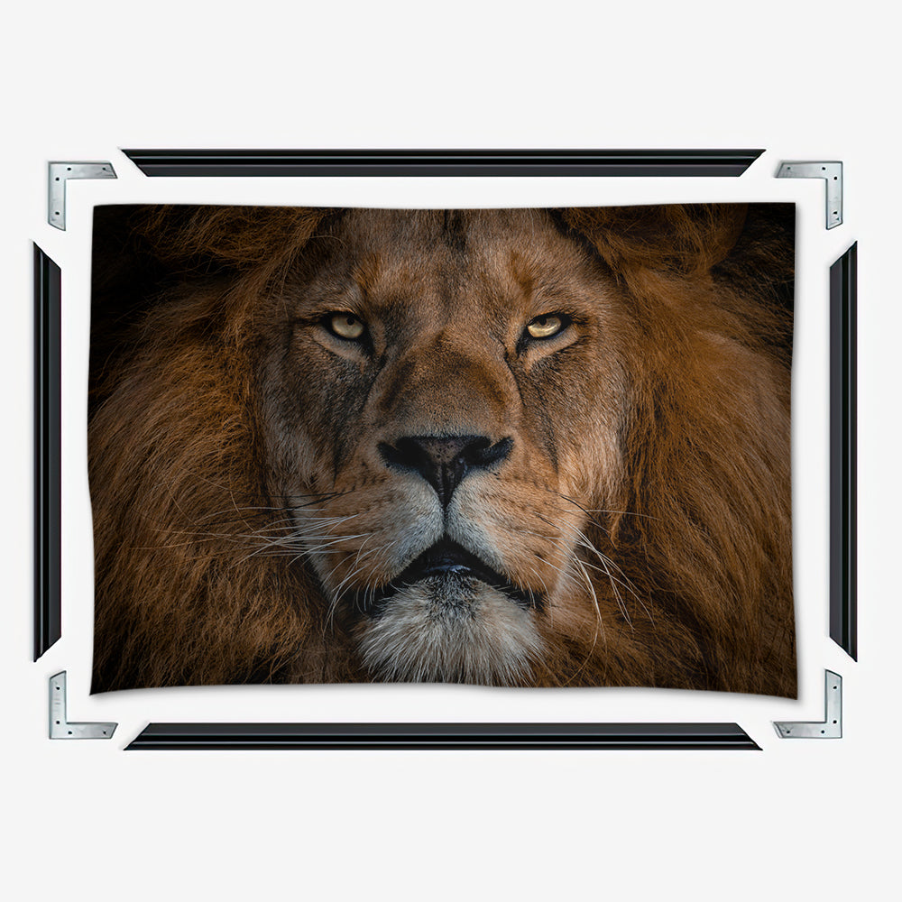 The Lion Large Wall Art