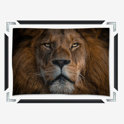 The Lion Large Wall Art