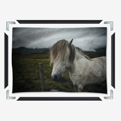 White Horse Wall Art