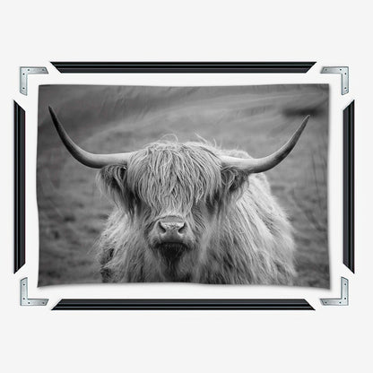 Black White Highland Cow Wall Art