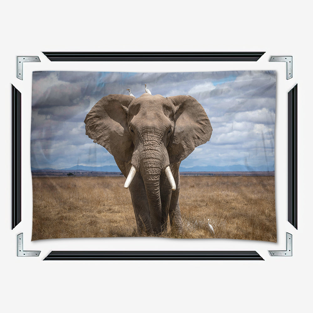 Safari Elephant Wall Art