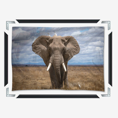 Safari Elephant Wall Art